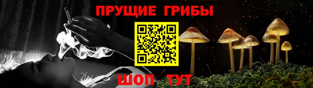 Майский  Псилоцибиновые грибы Psilocybe  Вход с VPN  Галлюциногенные грибы Cubensis 