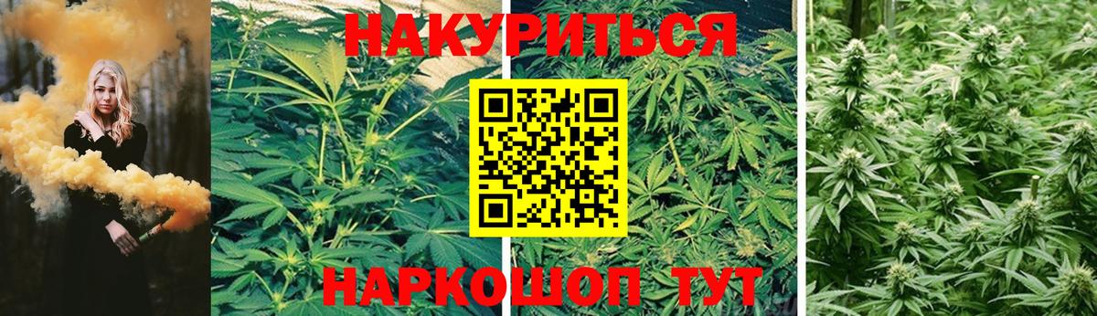 Конопля гибрид Майский